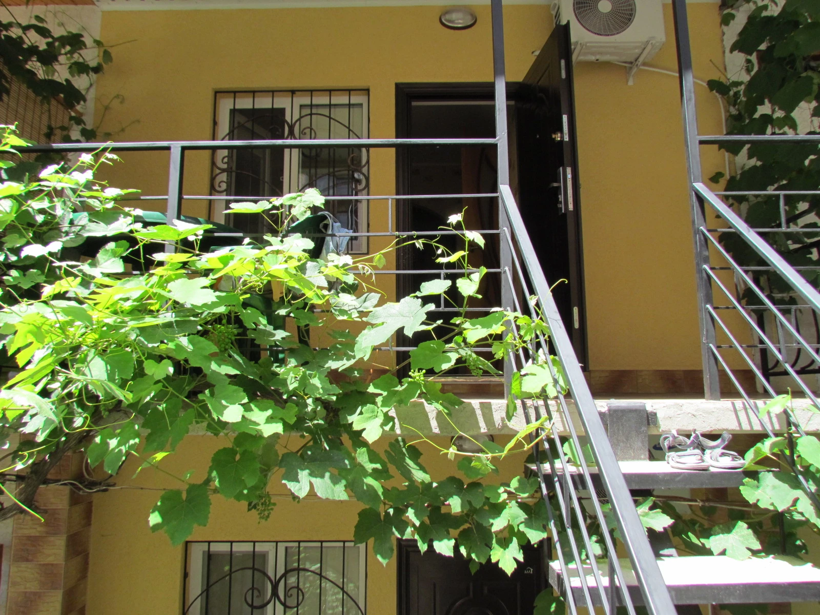 .  "Надежда". Алушта