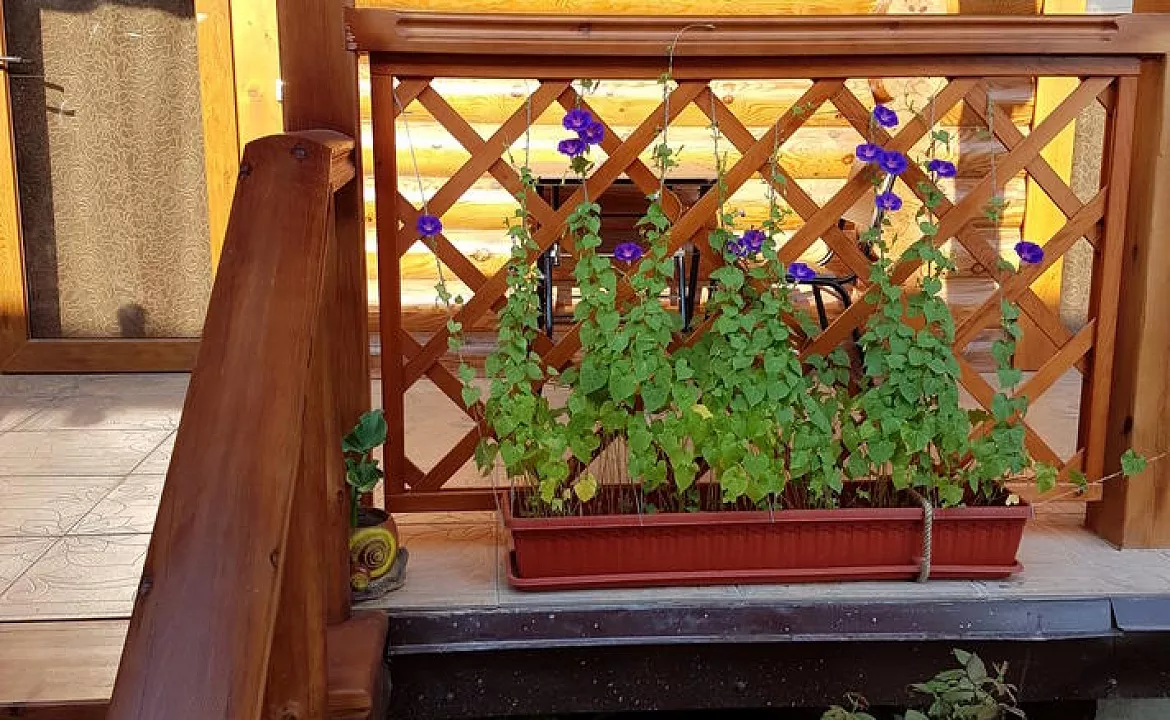 Комната №3 в гостевом доме Одиссей. Гостевой дом "Одиссей" - Приморский. Приморский