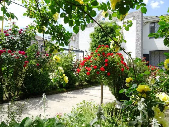 . Частный гостевой дом "Аврора". Евпатория