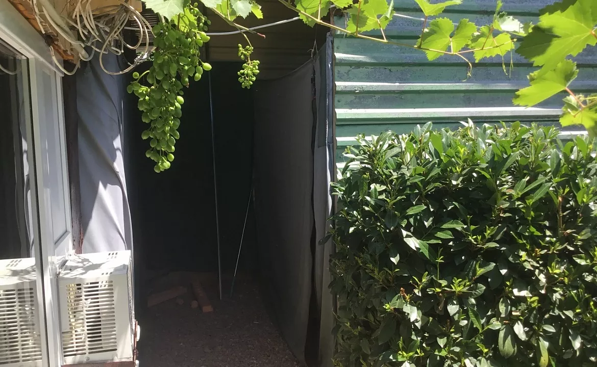 Глэмпинг. Гостевой дом «Лазурное». Лазурное