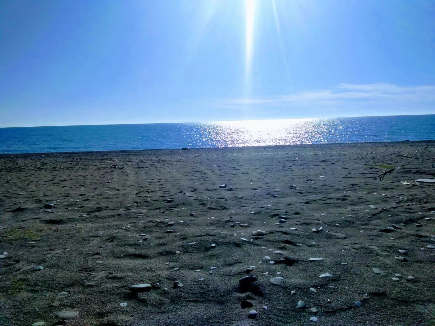 . Гостевой дом Мимоза. Пицунда