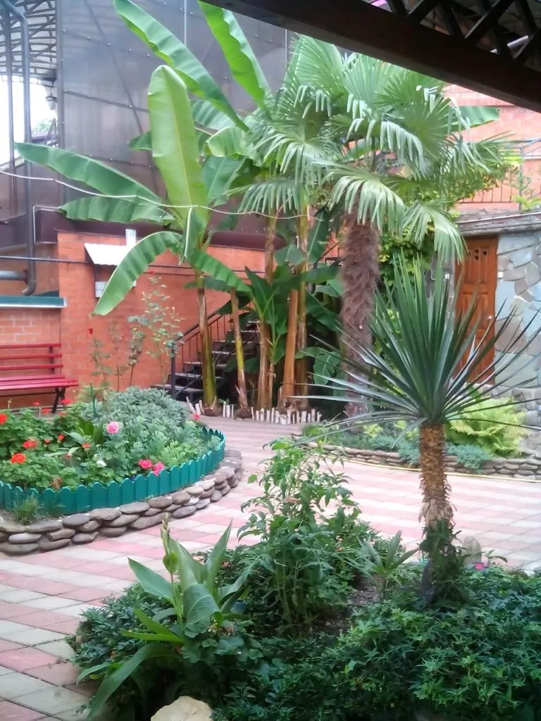 . Гостевой дом КАРАВЕЛЛА. Лазаревское