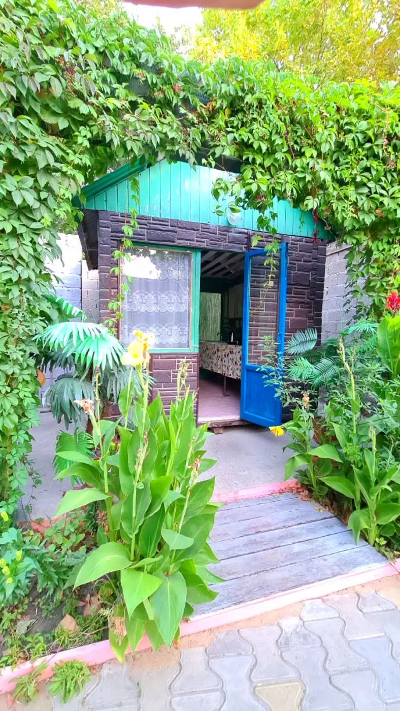 . База отдыха "ГОРИЗОНТ". Анапа