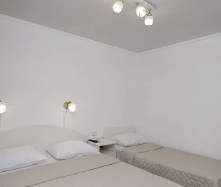 Трёхместный. Гостиница Розовый слон. 