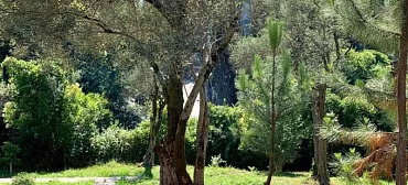 Гостиница "Guest house Maslina"