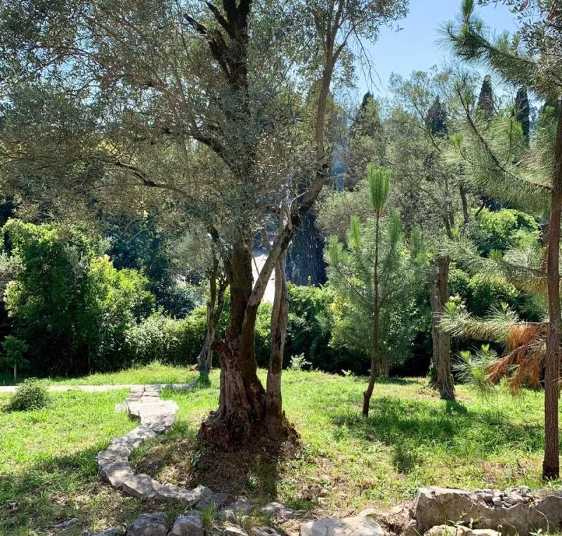 . Гостиница "Guest house Maslina". Новый Афон