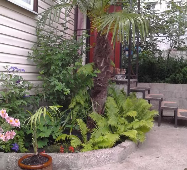 . Частный сектор Авроры 1/3. Аше