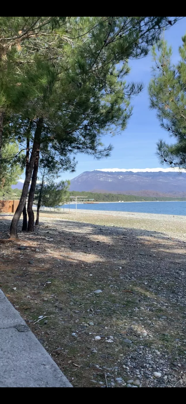 . Квартира в многоквартирном доме Квартира 2-хкомнатная. Квартиры в Пицунде . Квартира в многоквартирном доме Квартира 2-хкомнатная. Квартиры в Пицунде