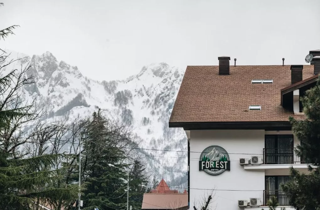 . Отель Лес-Forest. Красная Поляна