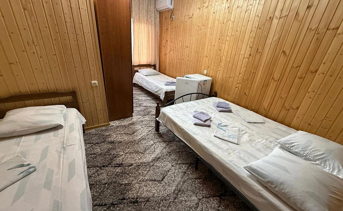 трехместный люкс. Гостевой дом оникс. Цандрипш