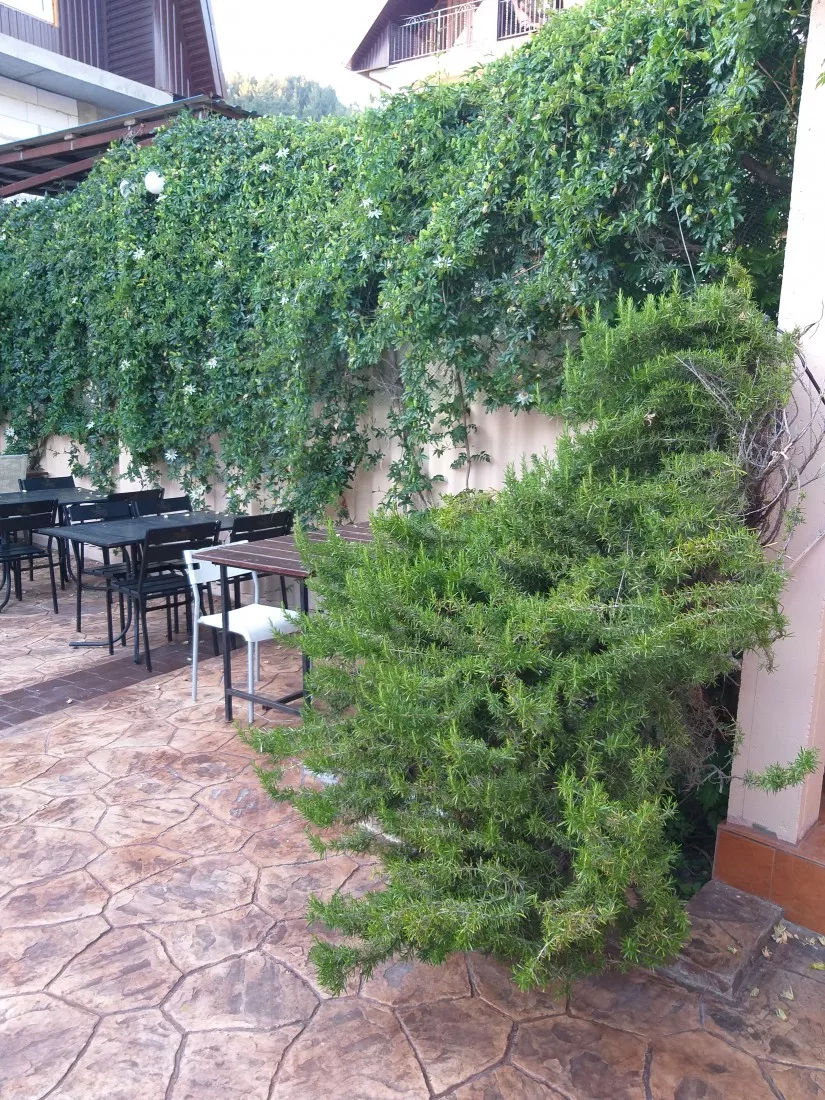 . Гостевой дом «УЮТ» - Солоники. Солоники . Гостевой дом «УЮТ» - Солоники. Солоники