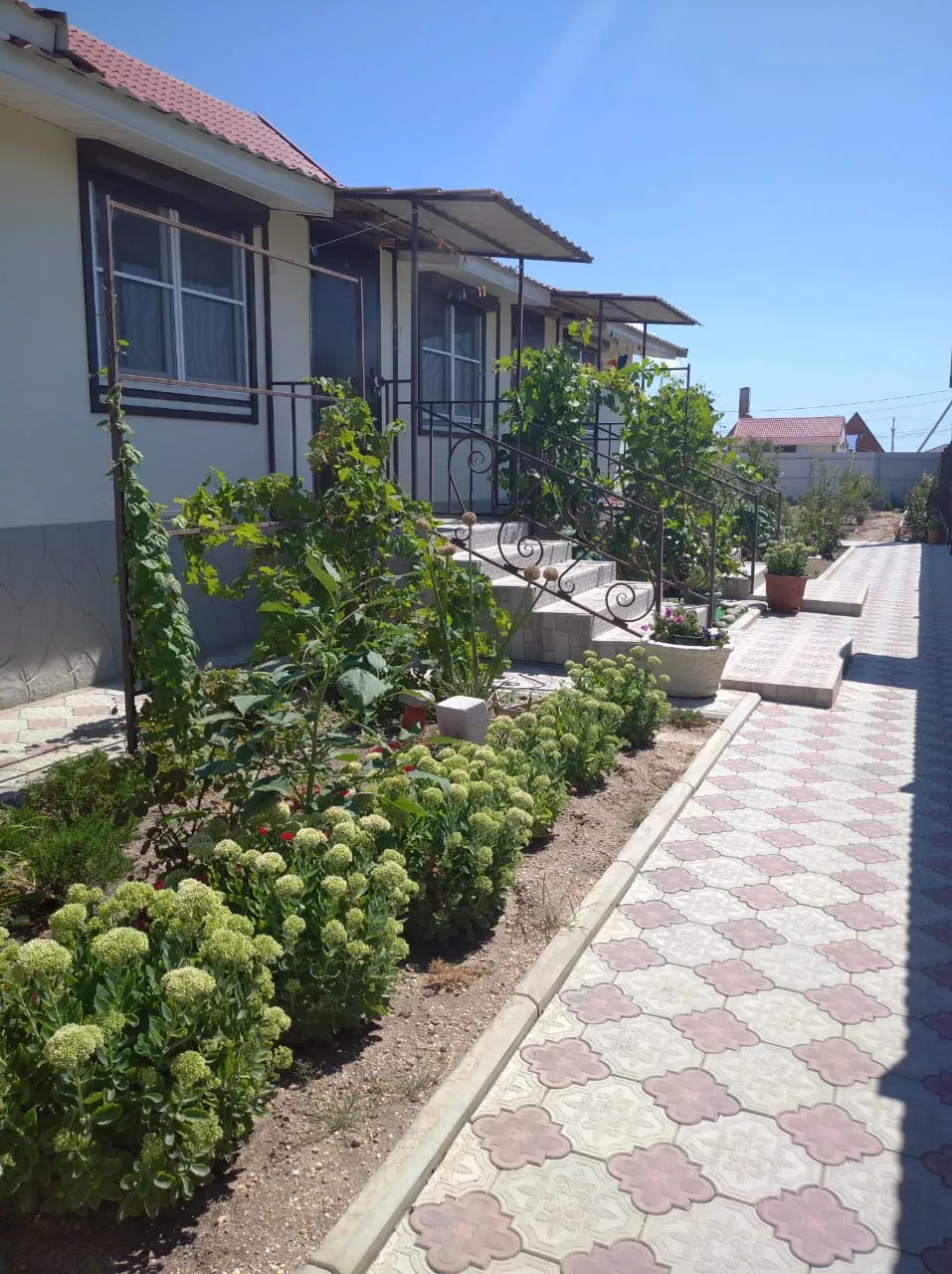 . Гостевой дом "Петрович". Должанская