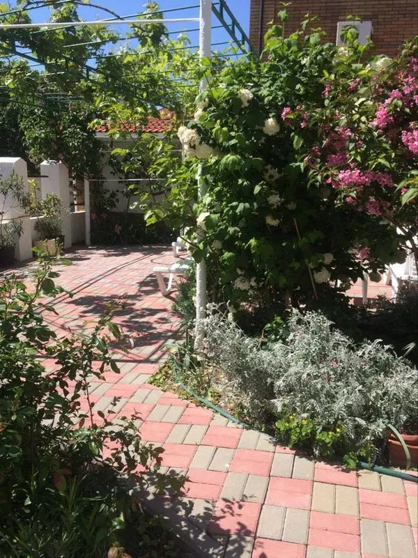 . Гостевой дом "У Боцмана". Геленджик