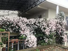 Частный сектор "У Генриха" Частный сектор "У Генриха"