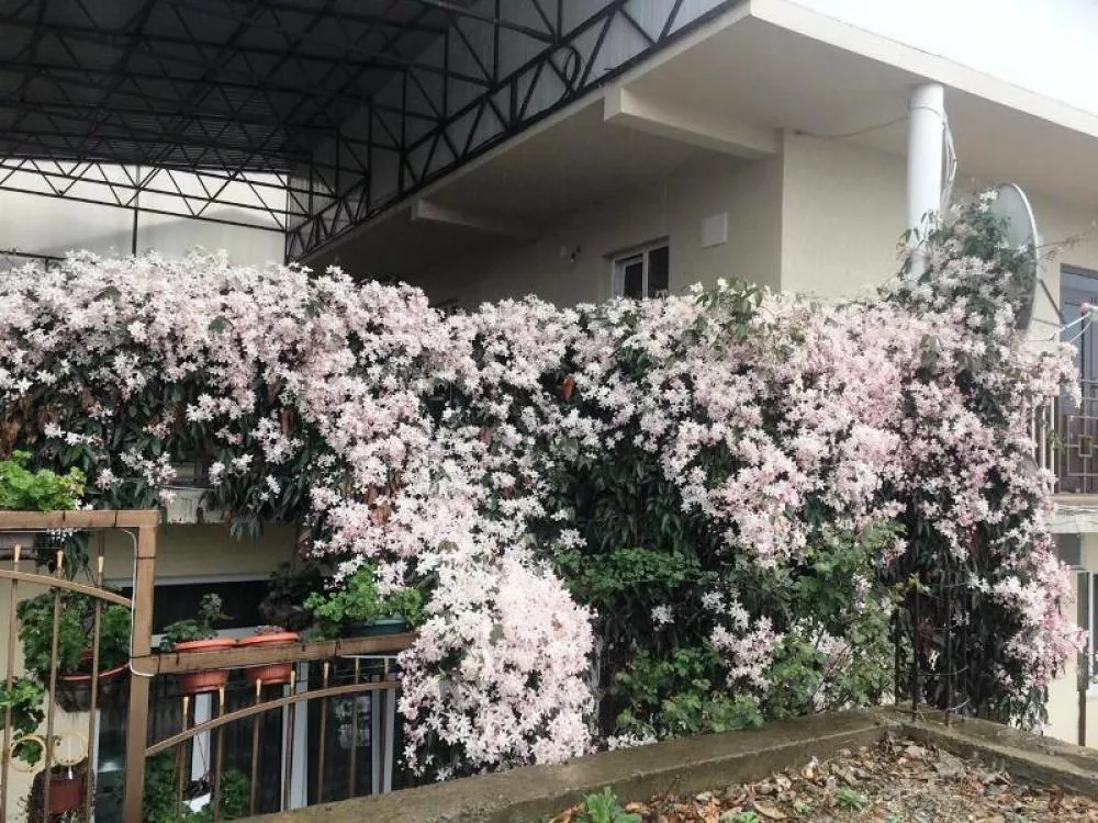 . Частный сектор "У Генриха". Лоо . Частный сектор "У Генриха". Лоо