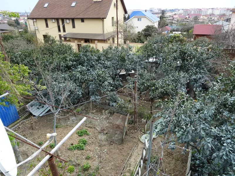 . Частный сектор "Анжелика". Адлер