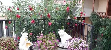 Гостевой дом Все включено 