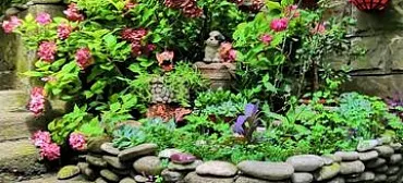 Гостевой дом «Светлана» Гостевой дом «Светлана»