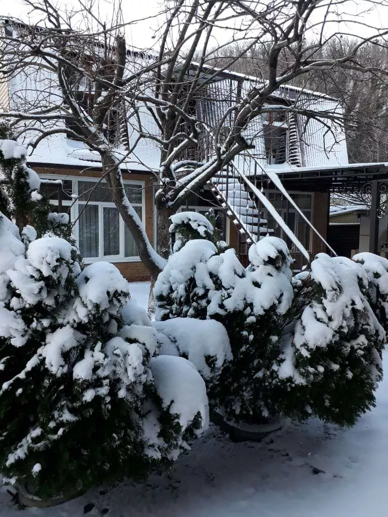 . Гостевой дом Гостевой дом «Уют». Небуг