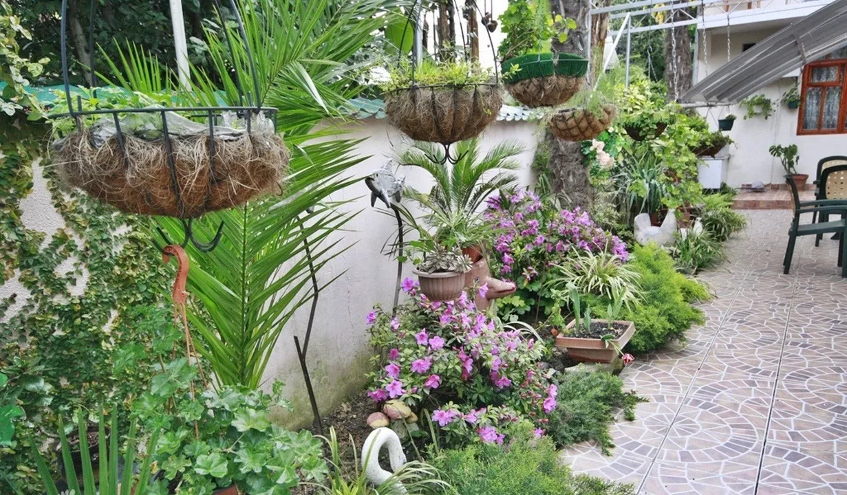 . Гостевой дом «Надежда» . Сочи