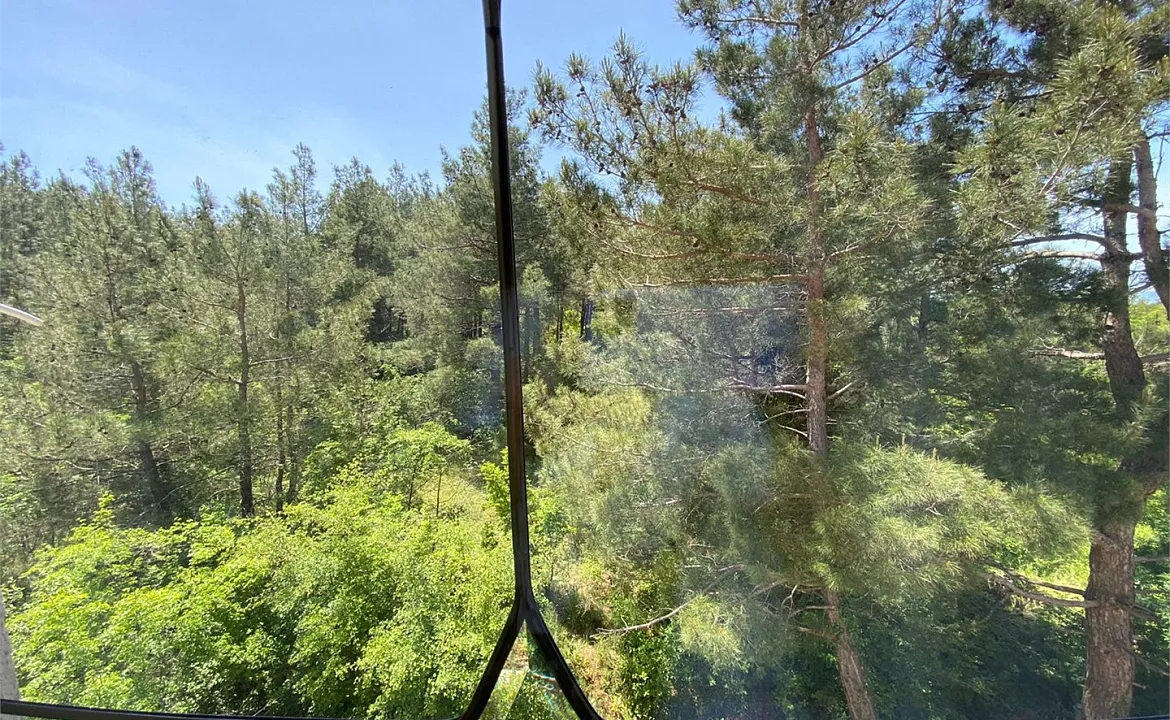 люкс четырехместный с видом в лес. Дом в Кедровой роще. Кабардинка