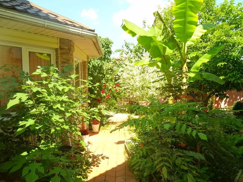 . Частный сектор "Цезарь". Архипо-Осиповка