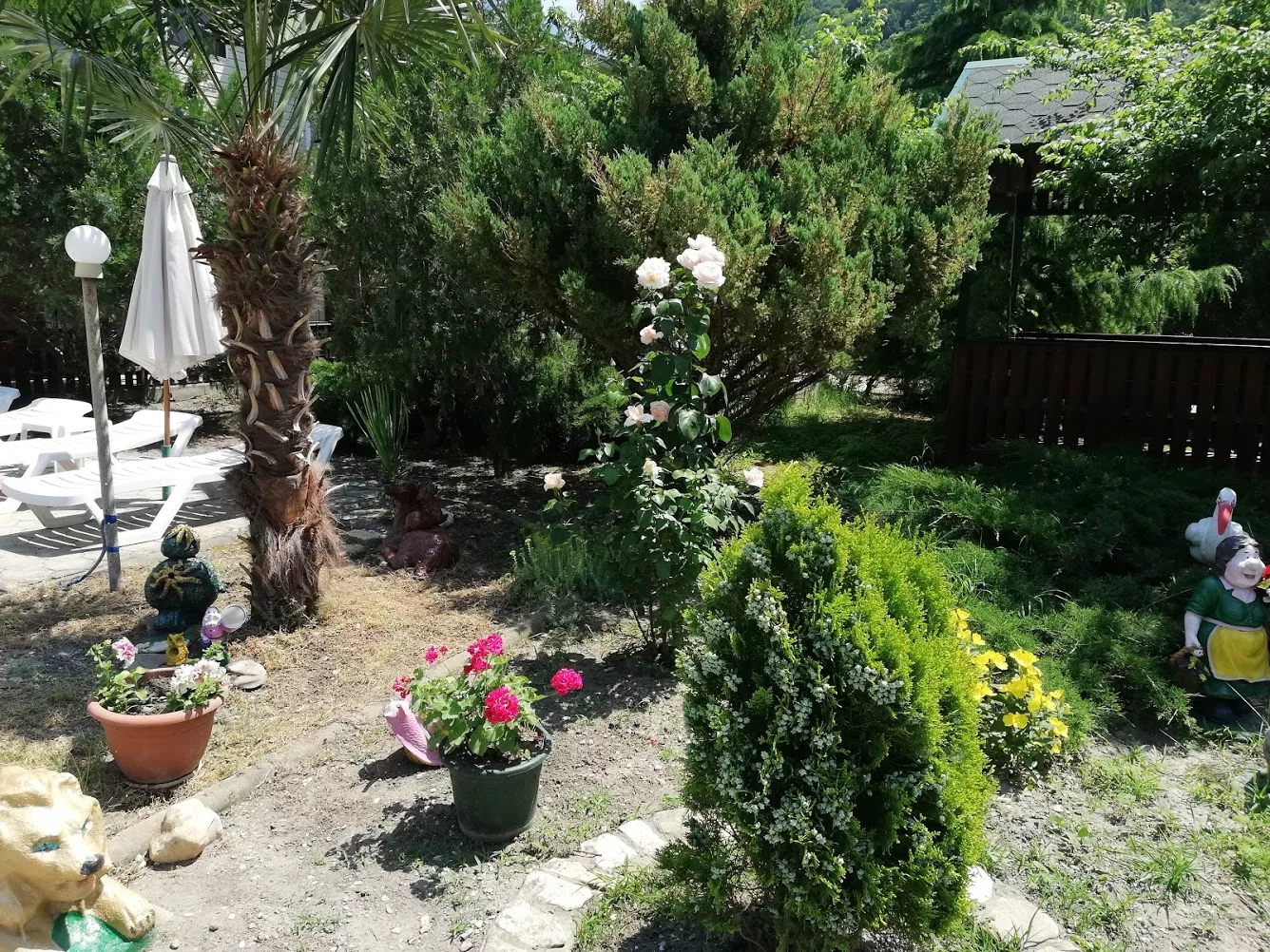 . Гостевой дом "Сибирячка". Ольгинка