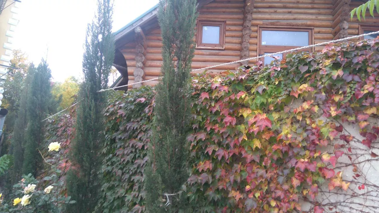 . Отель Гостевой дом «У Тещи-2». Феодосия