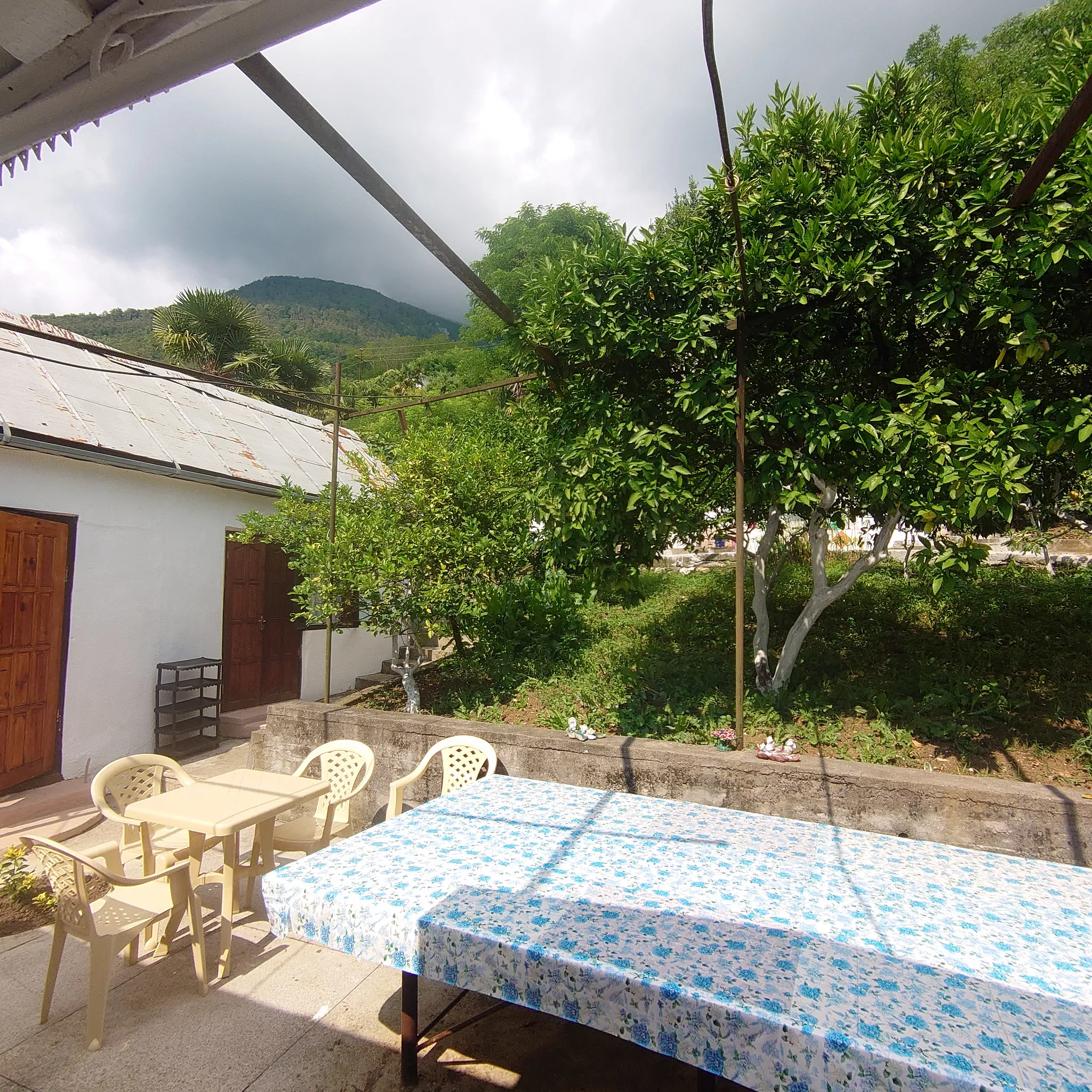 . Гостевой дом у Резеды. Гагра