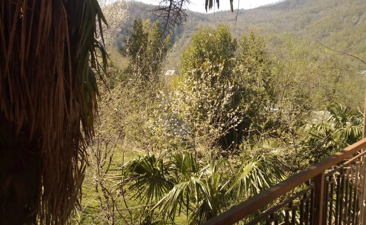 Домик . База отдыха "Алексеевка". Лазаревское