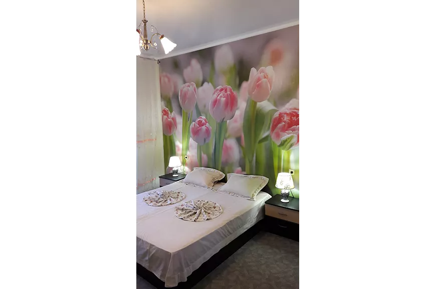 2-комнатная комфортная. Гостевой дом «Медовый месяц». Саки