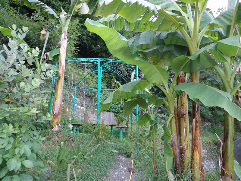 . Гостевой дом "У Риммы" - Каткова Щель. Каткова Щель