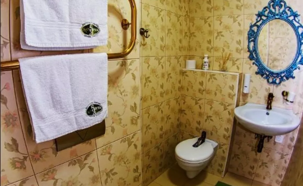 Стандартный двухместный номер с 1 кроватью. Бутик-Отель Савва. Красная Поляна