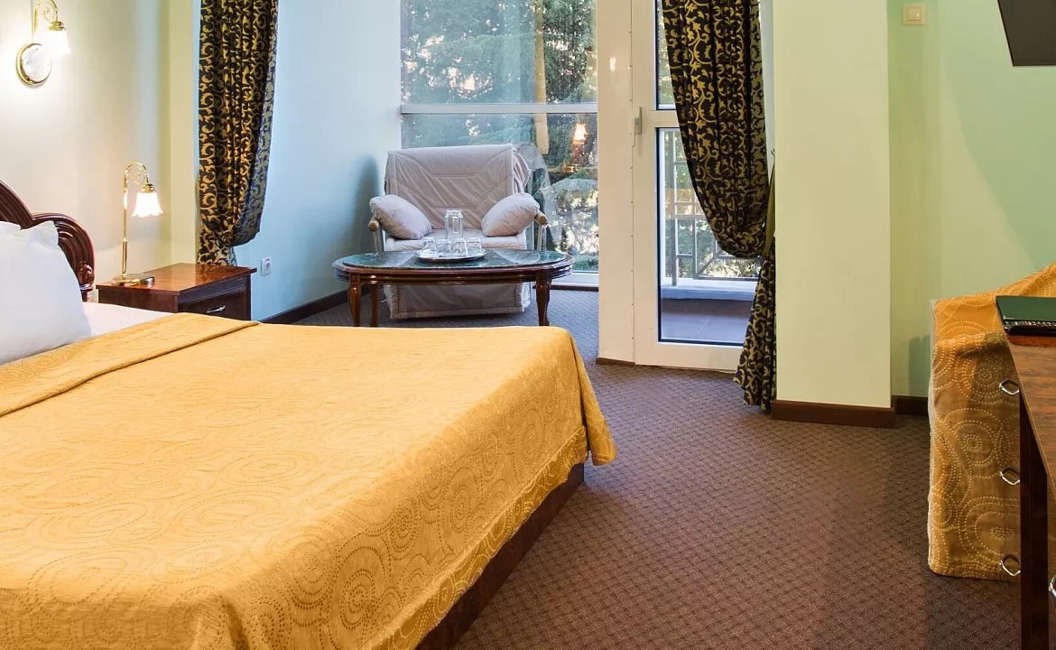 Стандарт Арена. Санаторий Мыс Видный. Хоста