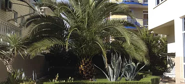 Гостевой дом "Маретель"