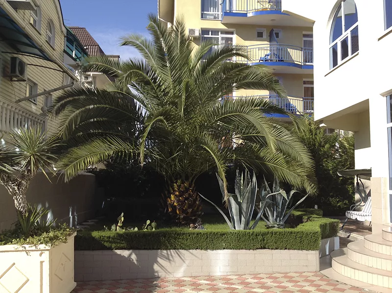 . Гостевой дом "Маретель". Адлер