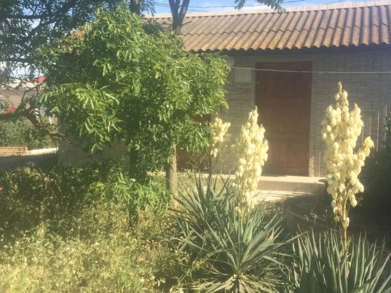 . База отдыха "Дружба" в Веселовке. Веселовка