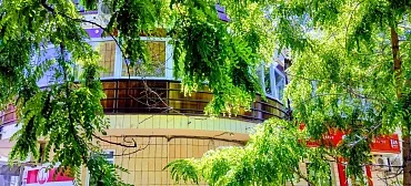 Гостевой дом Ракушка Анапа