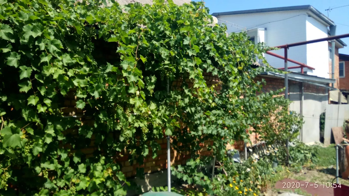 . Частный сектор Гостевой домик на у моря. Ейск