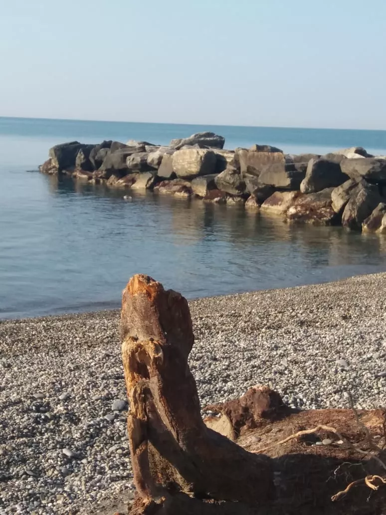 . Гостевой дом Рузанна . Лоо