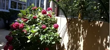 Гостевой дом "АТикА"