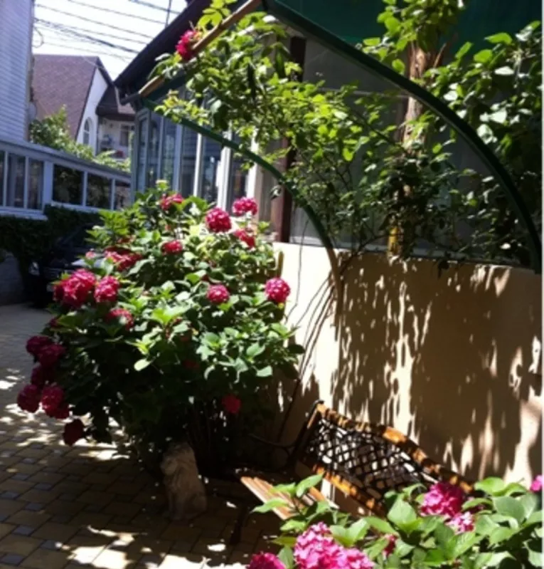 . Гостевой дом "АТикА". Адлер