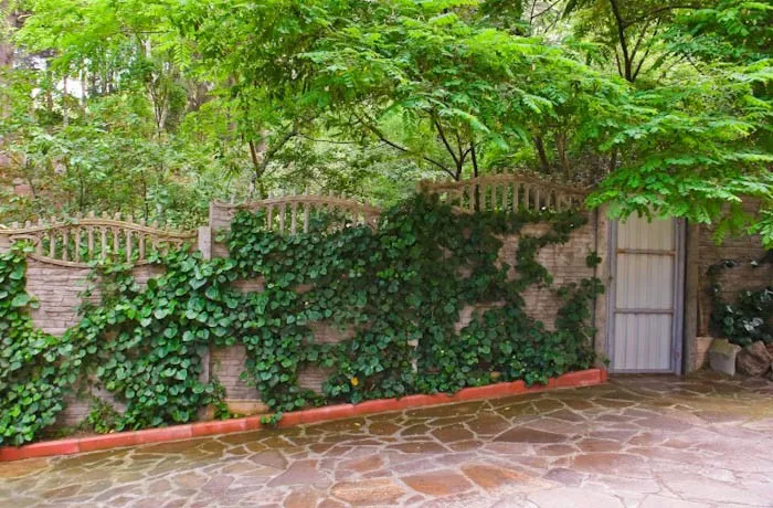 . Гостевой дом Приморский парк. Ялта