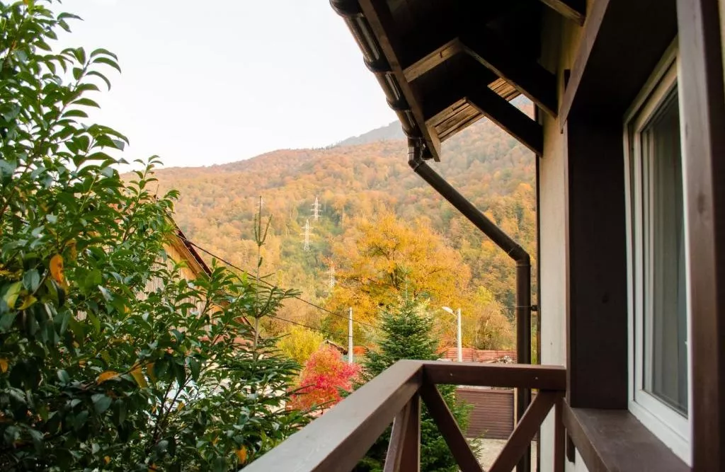 . Отель Отель Альпийский двор. Красная Поляна