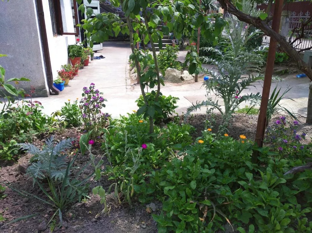 . Частный сектор У Саиды. Сухум