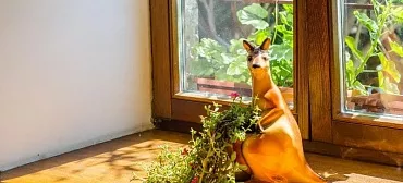 Гостиница Аквилон