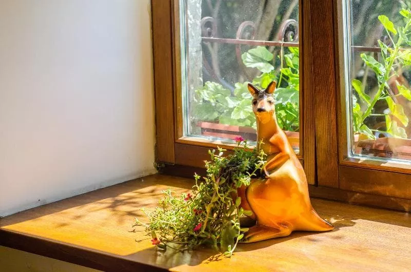 . Гостиница Аквилон. Алупка