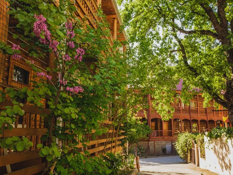 . Гостевой дом «Сказка на море». Геленджик