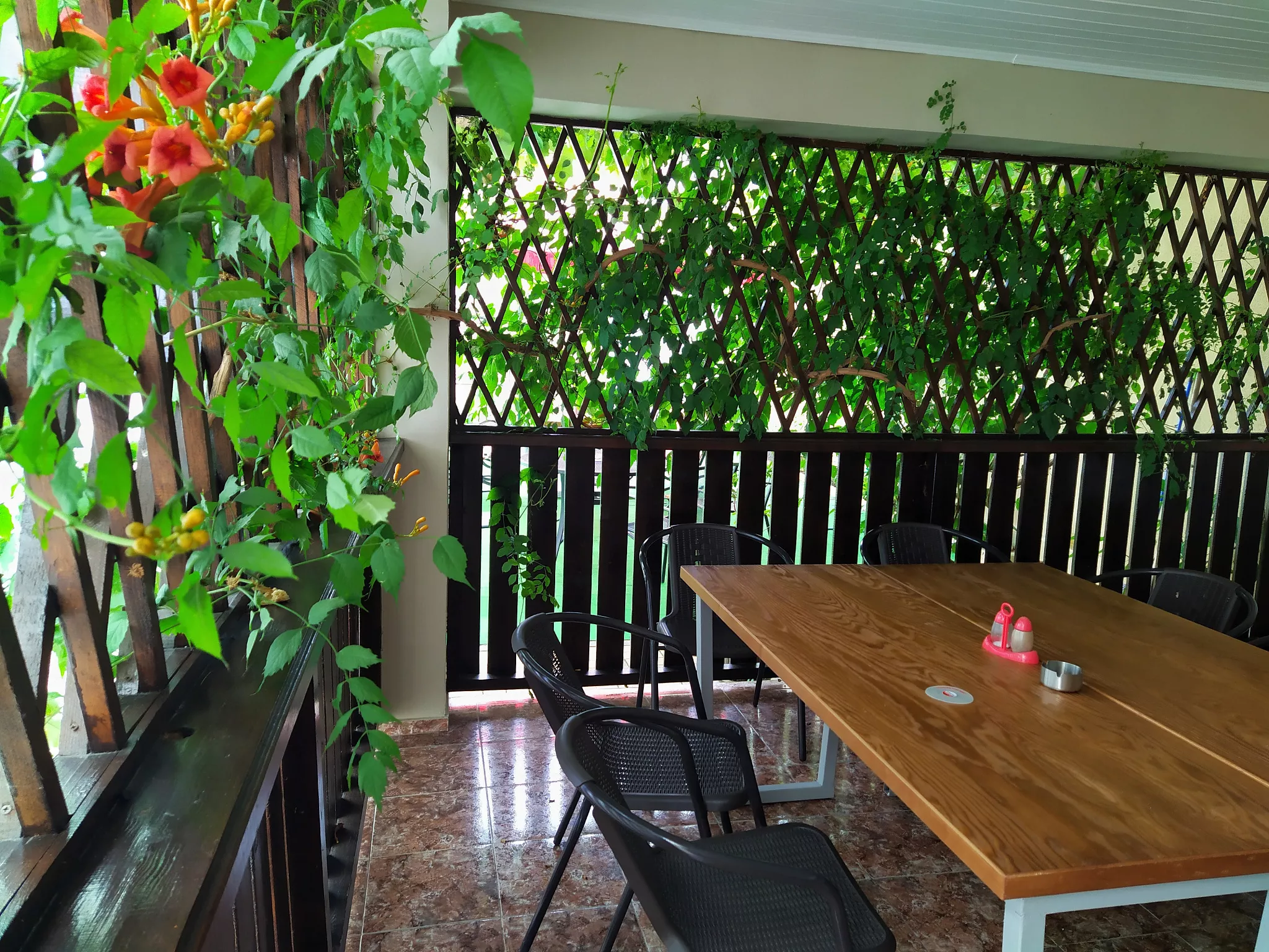 . Гостевой дом "Одиссей" - Кабардинка. Кабардинка . Гостевой дом "Одиссей" - Кабардинка. Кабардинка