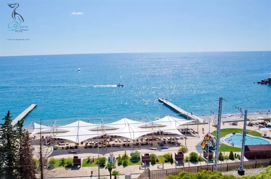 Комфорт. Гостиница "Пеликан". Сочи